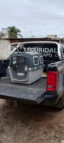 Translado De Mascotas Y Mudanzas Y Encomiendas Redespachos