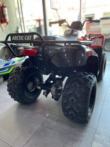 Imagen 20 de 22 de Artic Cat 300 - Usado - Motos M R