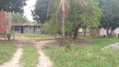 Chácara/sítio Em Esplanada Ba, Com 7 Hectares Com Casa E Rio