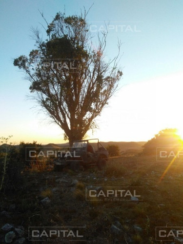 Excelente Campo En Ruta 13 - Venta- Ref: 28880