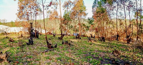 Imagem 13 de 15 de Terreno A Venda No Bairro Loteamento Colinas Verdes - Atibaia, Sp - 328