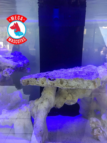 Acuario Marino Boyu Ha1200 330 Lts Con Gabinete Y Sump
