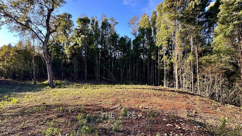 Parcela En Venta En Villarrica