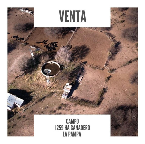 Imagen 1 de 1 de Campo En Venta, La Pampa 159 Ha.