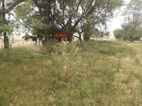 Imagen 9 de 20 de Terreno Esquina Céntrica Concordia, Los Charruas. Asfalto. Todos Los Servicios (400 M2).