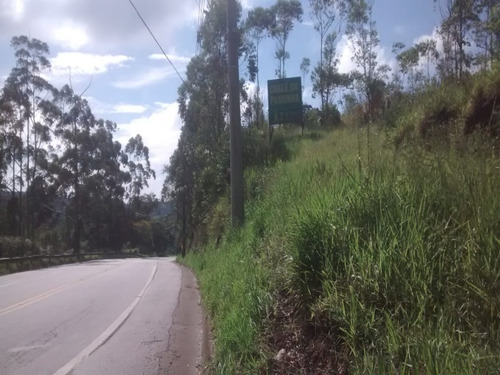 Imagem 1 de 8 de Terreno - Te00022 - 33711529