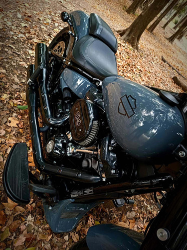 Imagen 11 de 16 de Harley Davidson Fat Boy
