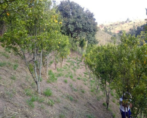 Imagem 17 de 21 de Chácara À Venda,5000.00 M², Bairro Da Pernambucana, Sao Jose Dos Campos - Sp - 2234