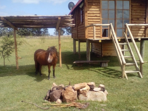 Imagen 12 de 14 de Cabaña San Gregorio De Polanco