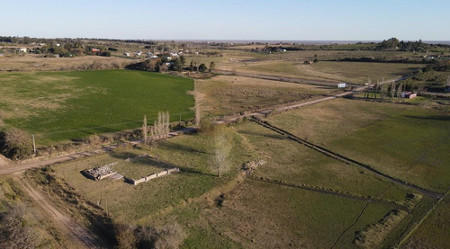 Imagen 5 de 30 de Se Vende Terreno De 15.700 M2, Con Dos Casas Y Base Para Galpon