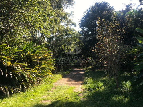 Imagem 8 de 10 de Chácara À Venda Em Vila Ipê - Ch034430
