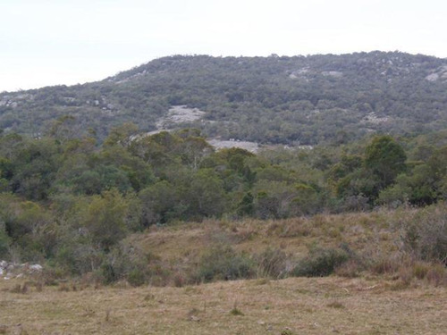 Campo En Venta En Lavalleja, 121 Hectáreas