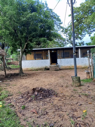 Global Vende Finca De 28 Hectáreas En Urb. Tocuyito Sector La Yaguara (vía Campo Carabobo)