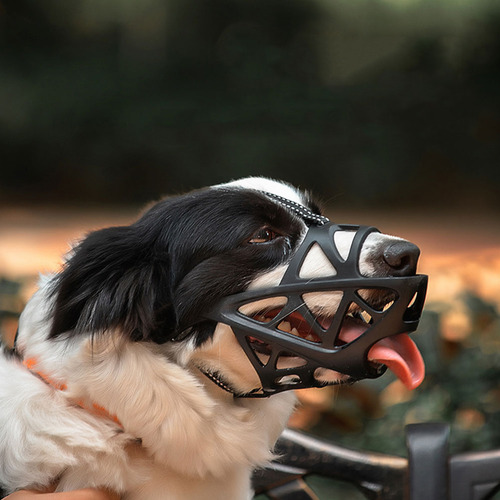 Hocico Para Perros Con Forma De Mejillón Para Perros, Tamaño
