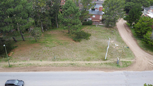 Av. Shaw Esq. Palometa Excelente Lote Sobre Av. Shaw