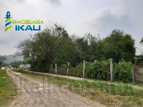 Imagen 4 de 10 de Terreno Comercial En Venta Primavera