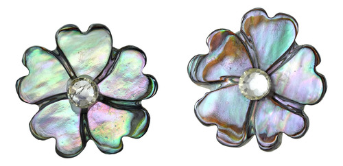 Aretes De Concha De Abulón Con Forma De Flor Brillante De Ae