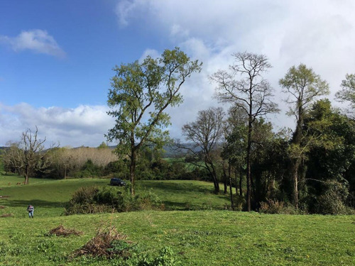 Hermosa Parcela En Rapaco Sector Los Canales La Union