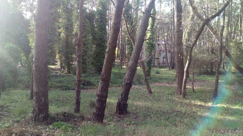 Imagen 3 de 8 de Terreno En Venta En Mar Azul