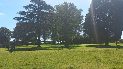 Campo En Fatima