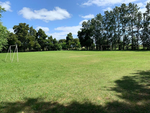 Imagen 11 de 30 de Campo En Venta En Bavio | Ruta 11 E/el Pino Y Km.42 (4,79 Has) Fracc.1