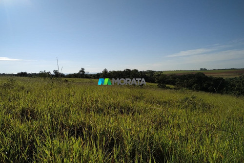 Imagem 12 de 15 de Fazenda - Zona Rural - Ref: 3829 - V-mta3829
