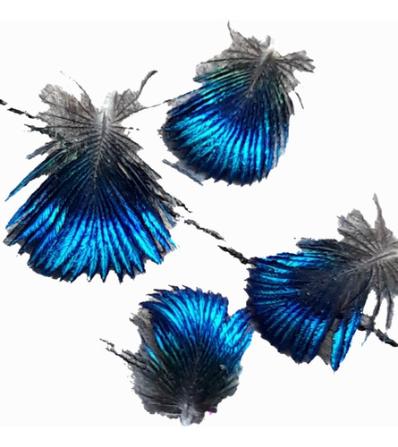 Plumas Mini Azul Metalizado Pavo Real Uñas, Resina, Artesaní