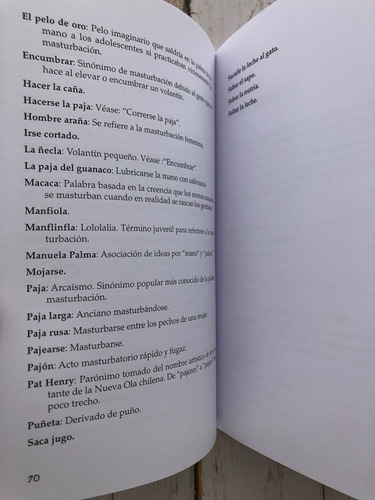 Groserías Y Palabrotas Chilenas / Profe. Jaime Campusano (Usado)