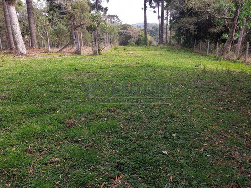 Imagem 7 de 15 de Area - Contenda - Ref: 3923 - V-3923