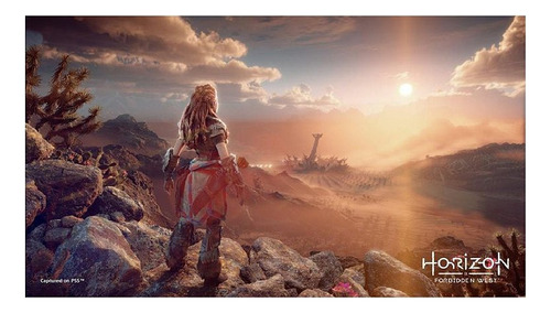 Jogo Horizon Forbidden West - Ps4