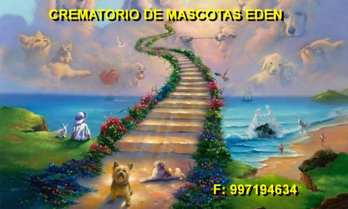 Crematorio De Mascotas Eden - Cinerario