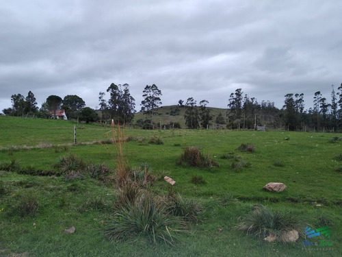 Imagen 22 de 30 de Vendo Excelente Chacra De 39 Hectáreas Para Granja Turística O Tambo, Aigua, Punta Del Este - Aiguá Aiguá