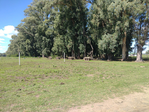Campo En Venta Sobre Ruta 6, Marcos Paz