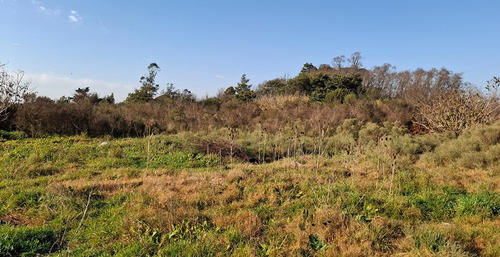 Venta De Terrenos De 1 Hectárea Atrás Del Aeropuerto Próximos A Ruta 102!