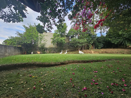 Belíssima Chácara Formada Com 2.400m2