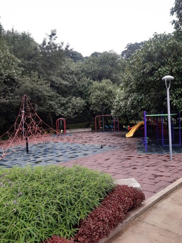 Imagen 15 de 21 de Departamento En Venta O Renta En Maranta Bosques, Cdmx