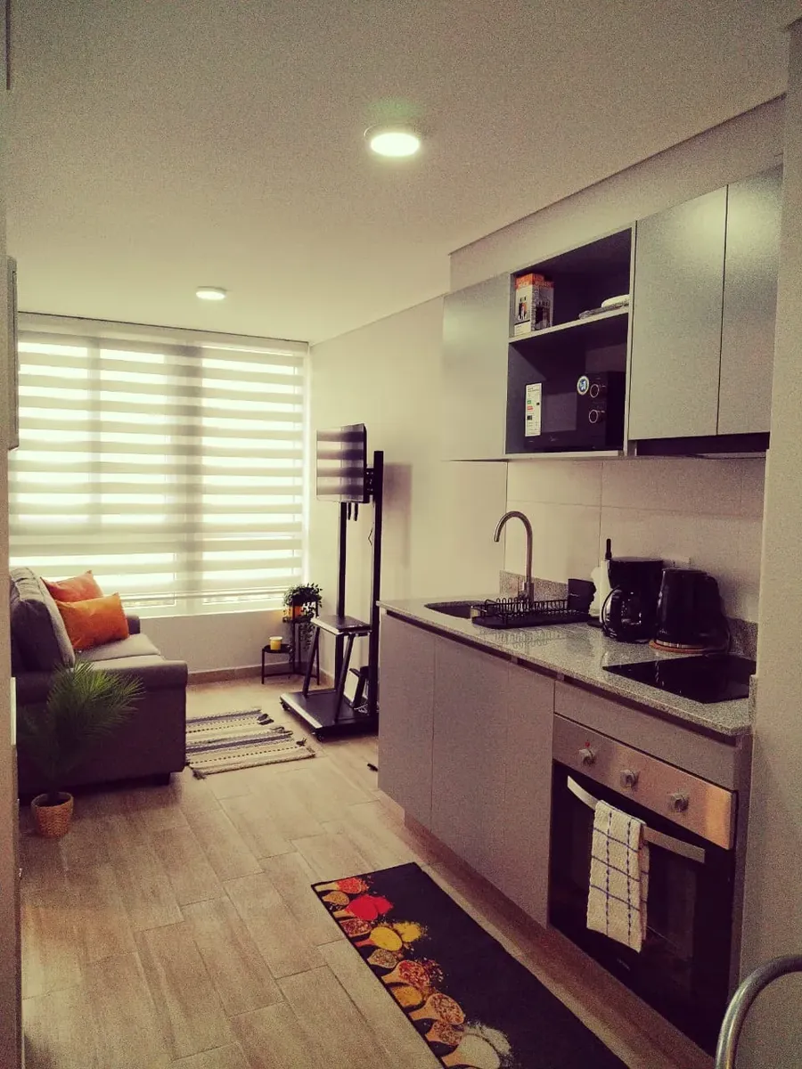 Imagen 3 de 24 de Arriendo Hermoso Depto 1d 1b Amoblado Stgo