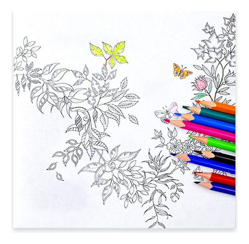 Libro Ilustrado Con Lápiz De Colores Para Niños Con Dibujo Y