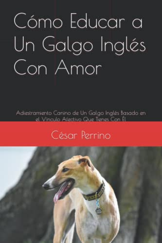 Como Educar A Un Galgo Ingles Con Amor: Adiestramiento Canin
