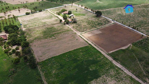 Imagem 26 de 30 de Granja Com 13 Hectares E Plantação Rentabilizando - Ch0065