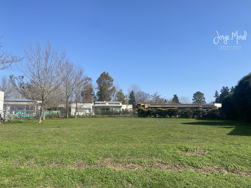Lote Interno #300-400 - San Matias - Area 2 - 1003m2 #id 12844