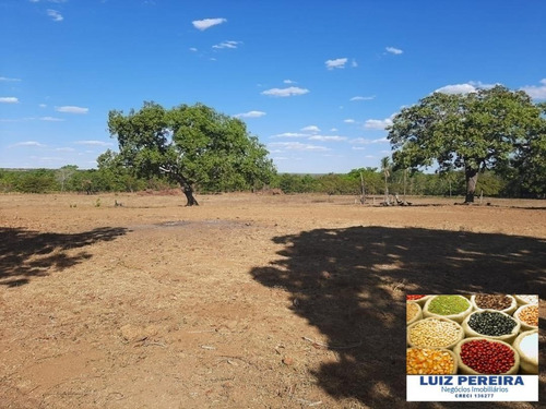 Fazenda À Venda Em Dueré/vale Do Araguaia -to - (dupla Aptidão) - 1537