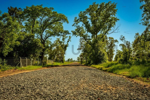 Venta Lote En Barrio Cerrado El Solar- Mariano Acosta