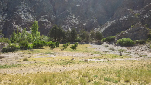 Purmamarca Terrenos Y Fincas