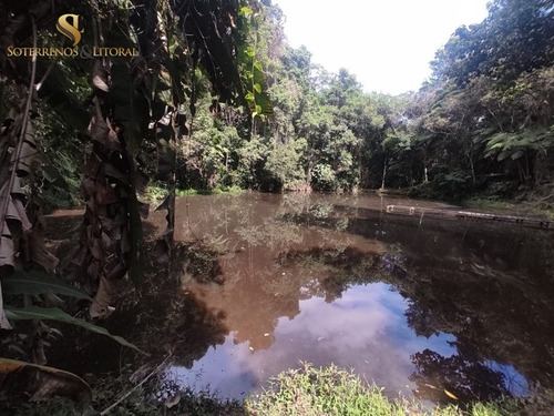 Imagem 3 de 30 de Sítio Em Santa Isabel - Sp