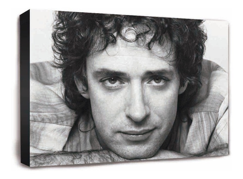 Gustavo Cerati - Cuadros Personalizados O No Para Decoración