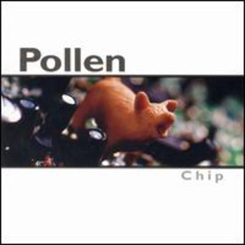 Cd Chip - Pollen