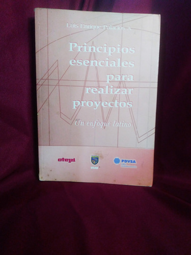 Luis E Palacios Principios Esenciales Para Realizar Proyecto