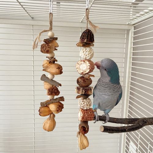 (b) El Juguete Triturado Block Bird Beak Promueve La Salud Y