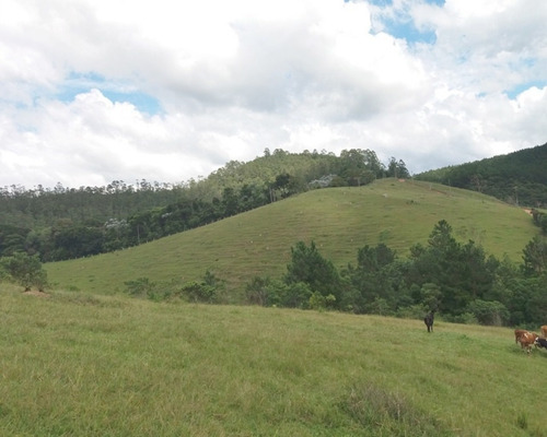 Imagem 24 de 30 de Fazenda Bem Localizada À Venda Em Juquitiba. - 15 - 32982853